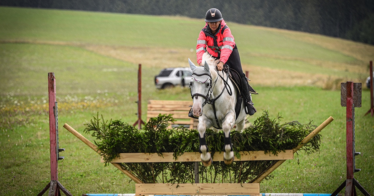 Társszervezőket keres lovaseseményekhez Hargita Megye Fejlesztési Ügynöksége